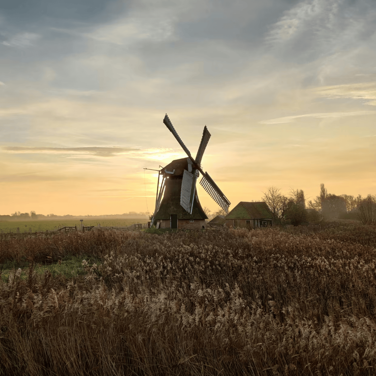 Back to nature: 8 groene daguitjes in ons mooie Nederland