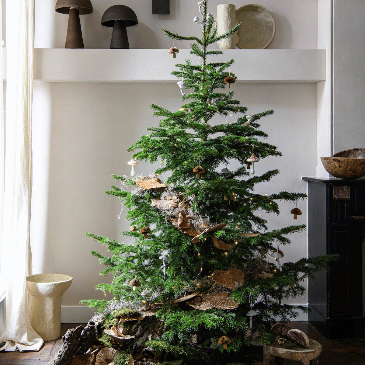 Onaangekondigd bezoek: dit wil je weten over de beestjes in de kerstboom