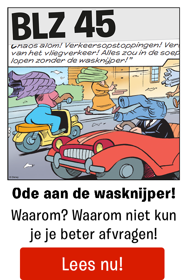 Ode aan de wasknijper!