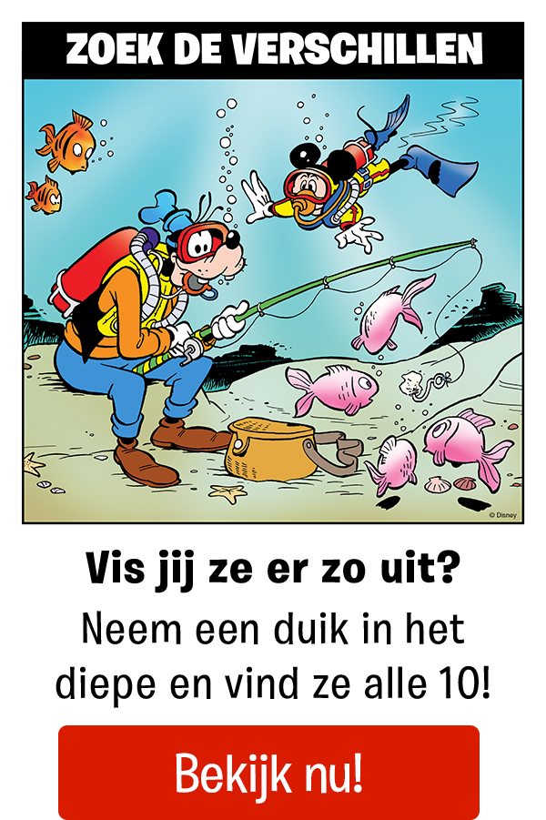 Zoek de verschillen!