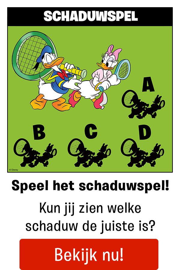 Schaduwspel