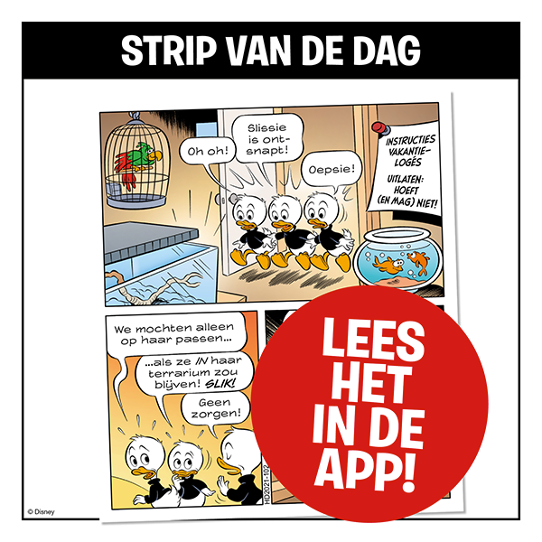 Strip van de dag