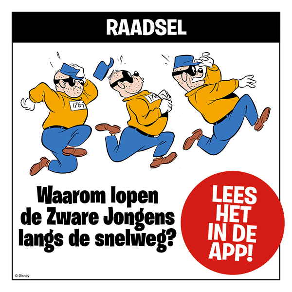 Raadsel