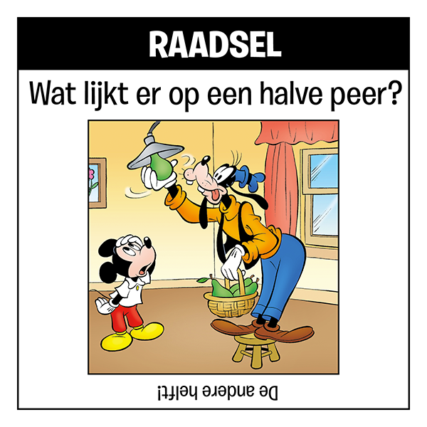 Raadsel