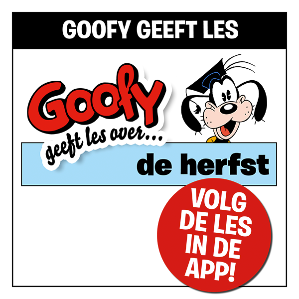 Goofy Geeft Les