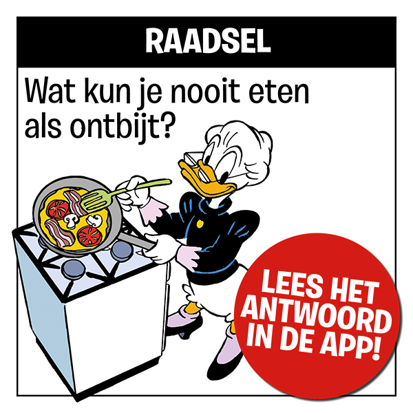 Raadsel