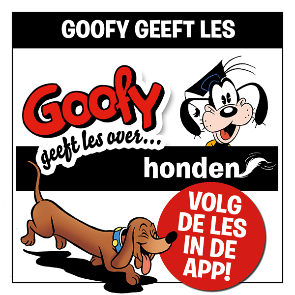 Goofy Geeft Les