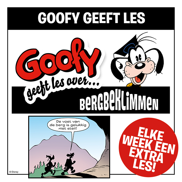 Goofy Geeft Les