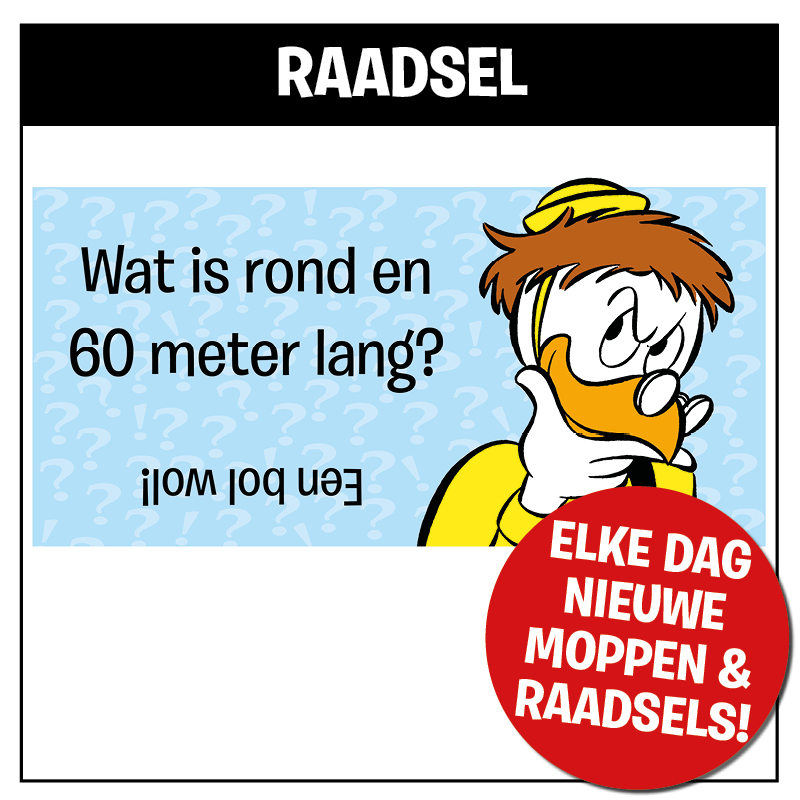 Raadsel