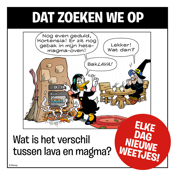 Dat zoeken we op