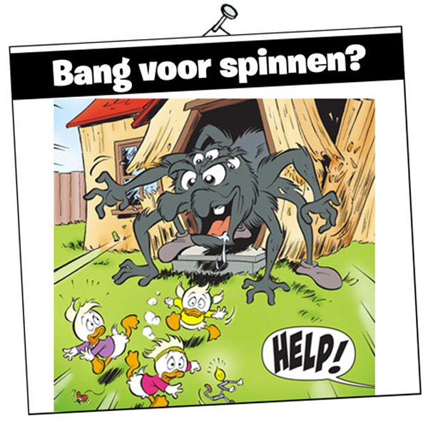 Bang voor spinnen test