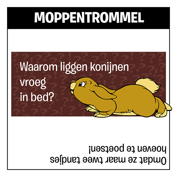 Mop