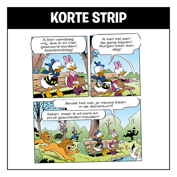 Korte strip