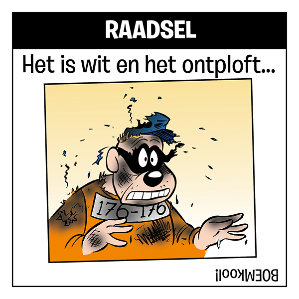 Raadsel