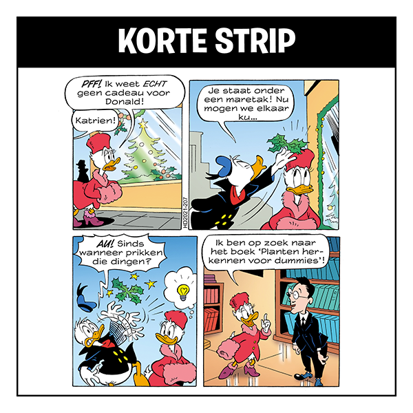 Korte strip