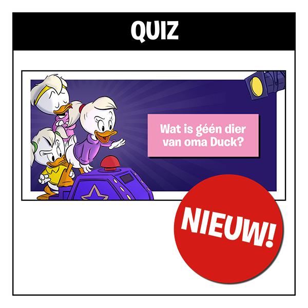 Quiz