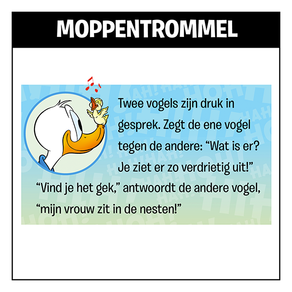 Mop