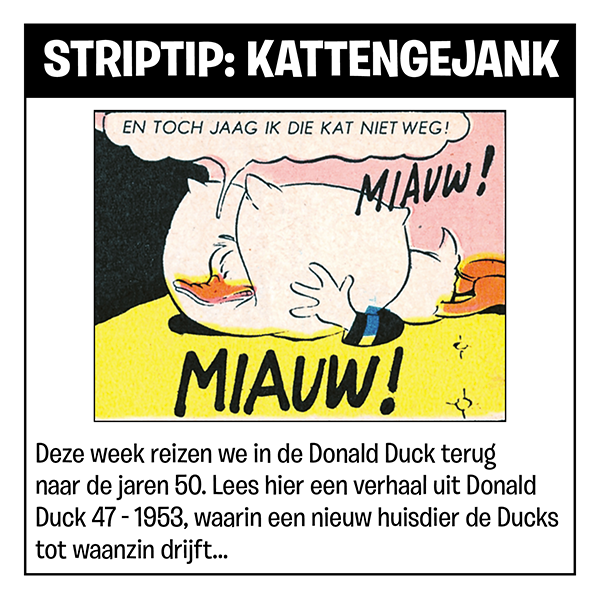 Striptip