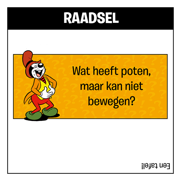 Raadsel