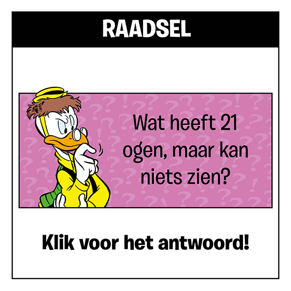 Raadsel