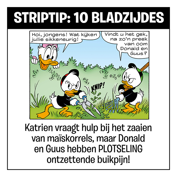 Striptip