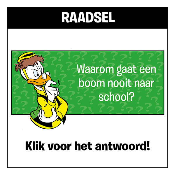 Raadsel