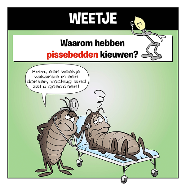 Weetje