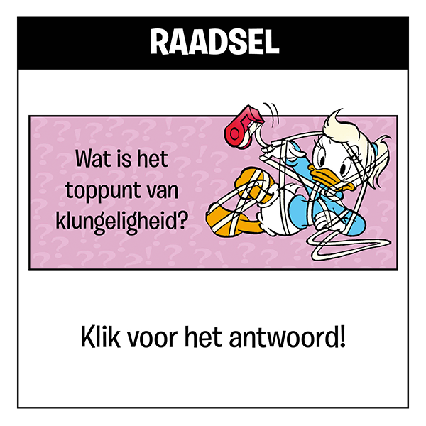 Raadsel