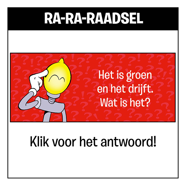 Raadsel