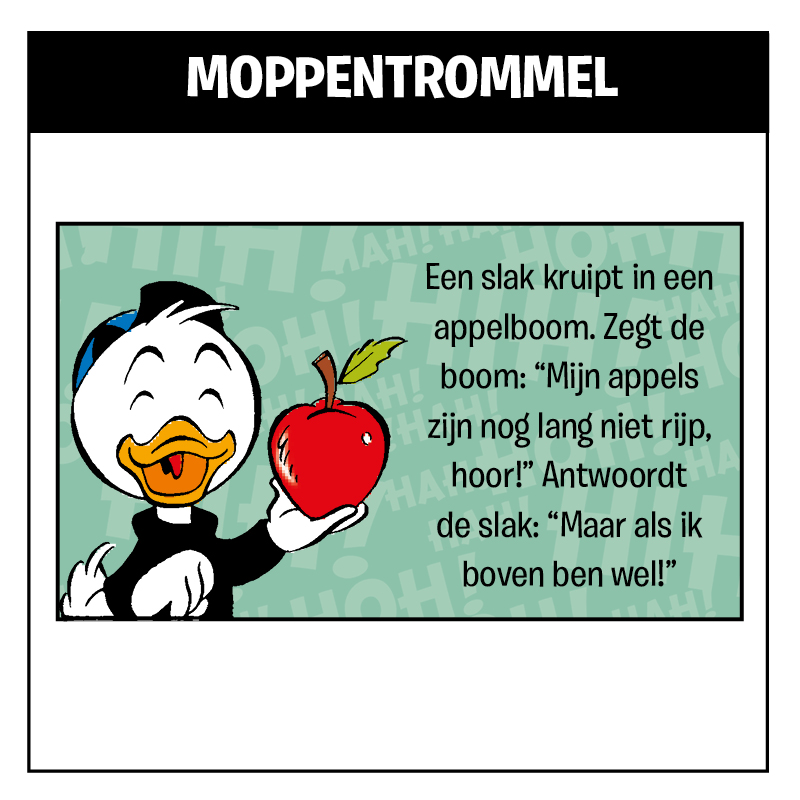 Moppentrommel