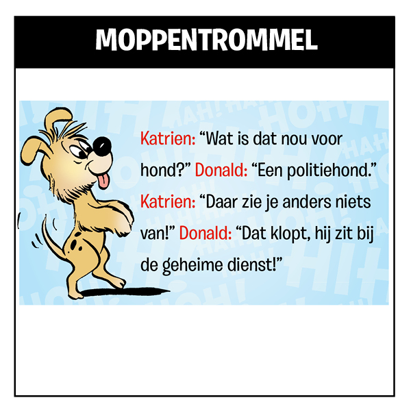 Mop