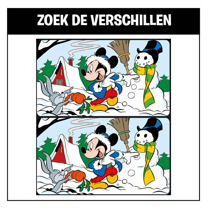 Zoek de verschillen