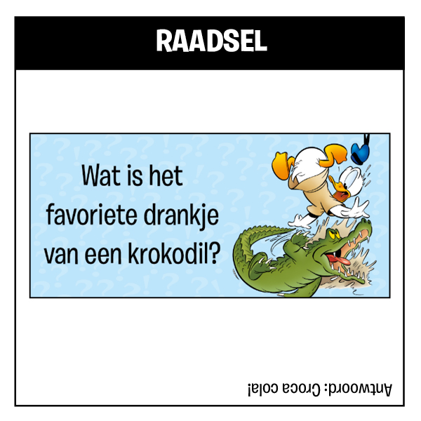 Raadsel