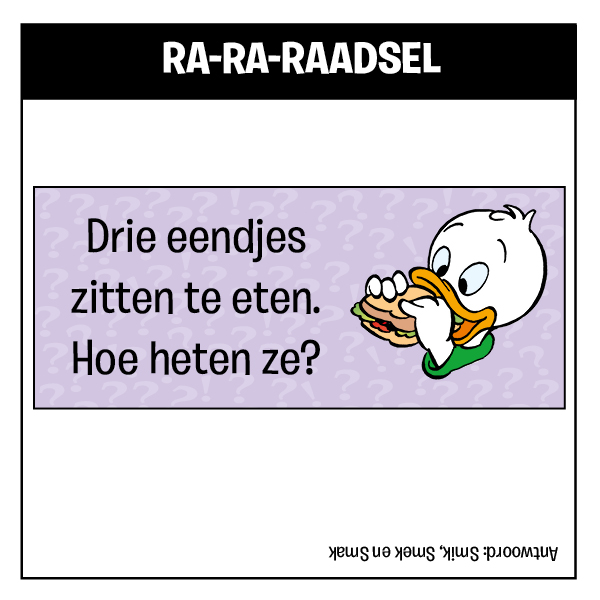 Raadsel