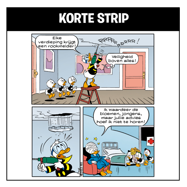 Korte Strip