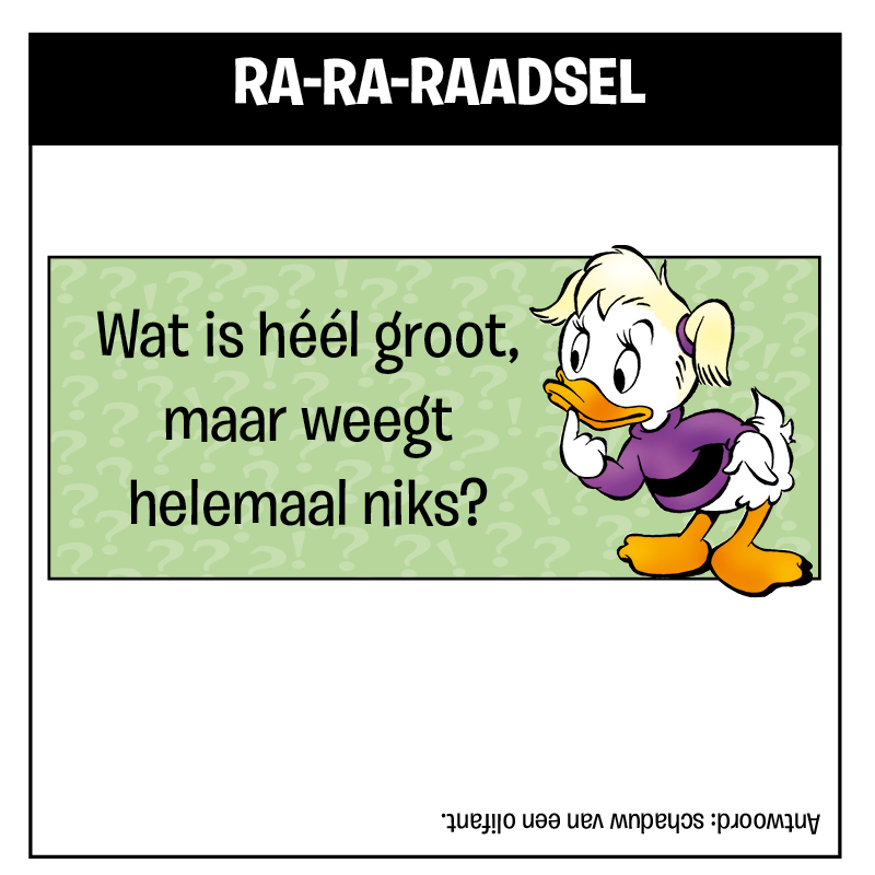 Raadsel