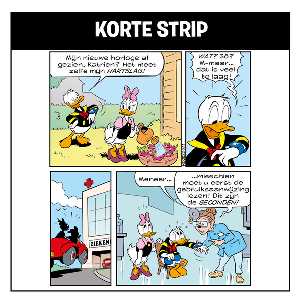 Korte Strip