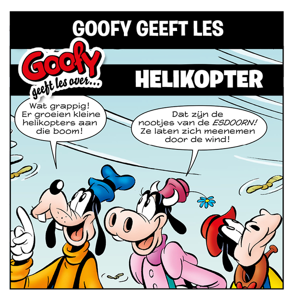 Goofy Geeft Les