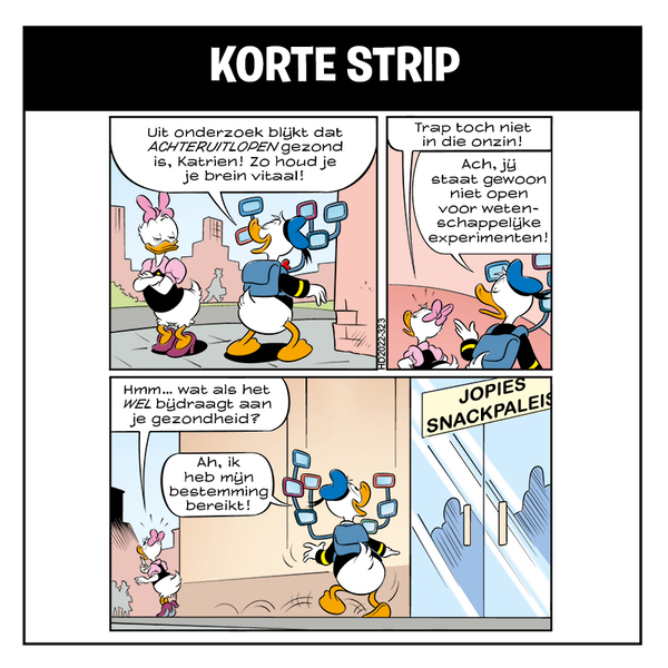 Korte Strip