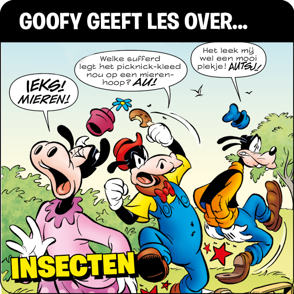 Goofy Geeft Les