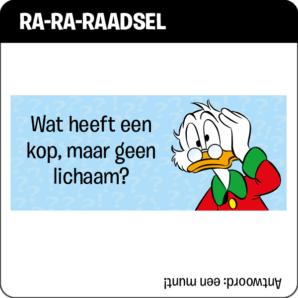 Raadsel