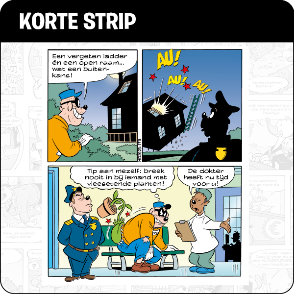 Korte Strip