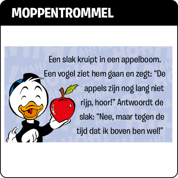 Moppentrommel