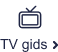 TV gids